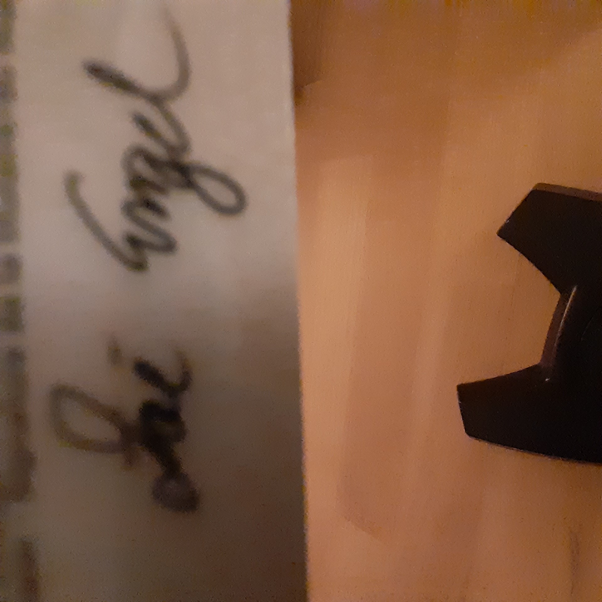 Unterschrift (eingescannt)